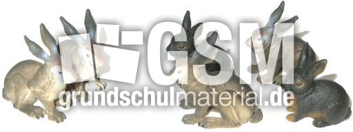 Hasen2+4.jpg